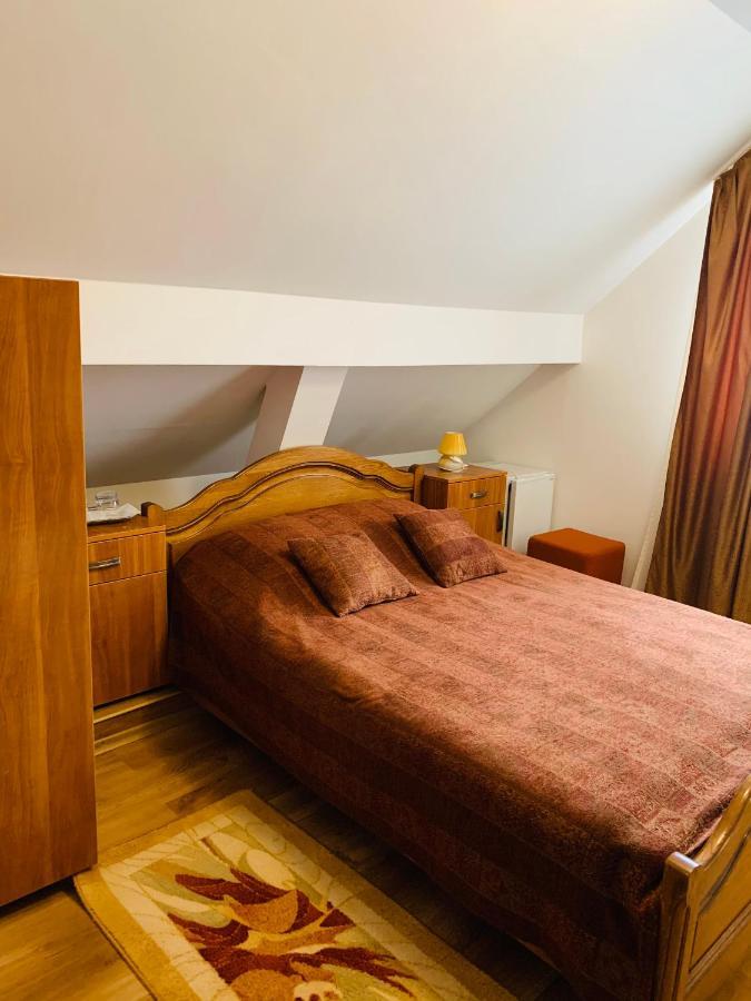 Alex & Maria Otel Cărpinişu Dış mekan fotoğraf