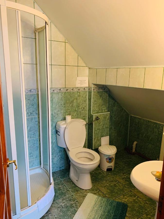Alex & Maria Otel Cărpinişu Dış mekan fotoğraf