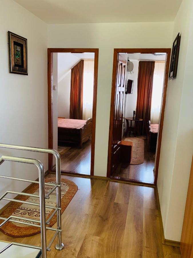 Alex & Maria Otel Cărpinişu Dış mekan fotoğraf