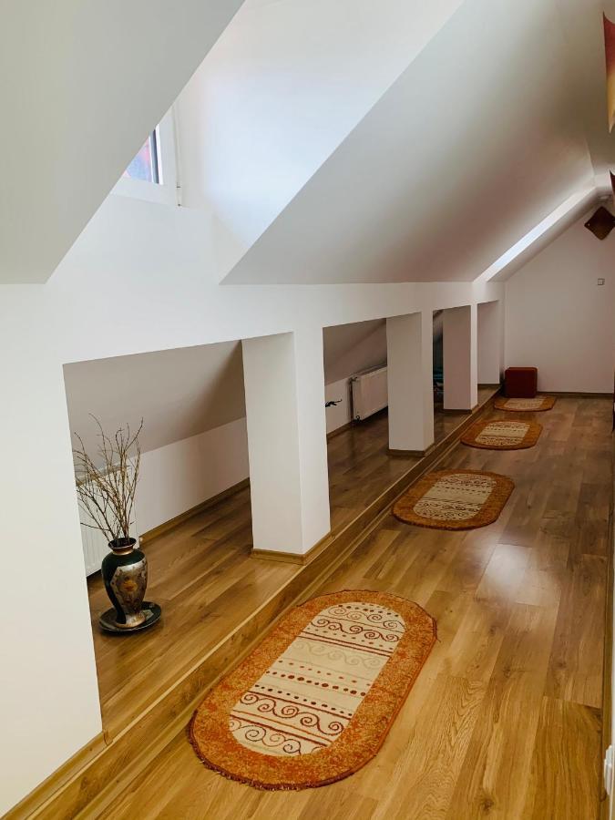 Alex & Maria Otel Cărpinişu Dış mekan fotoğraf