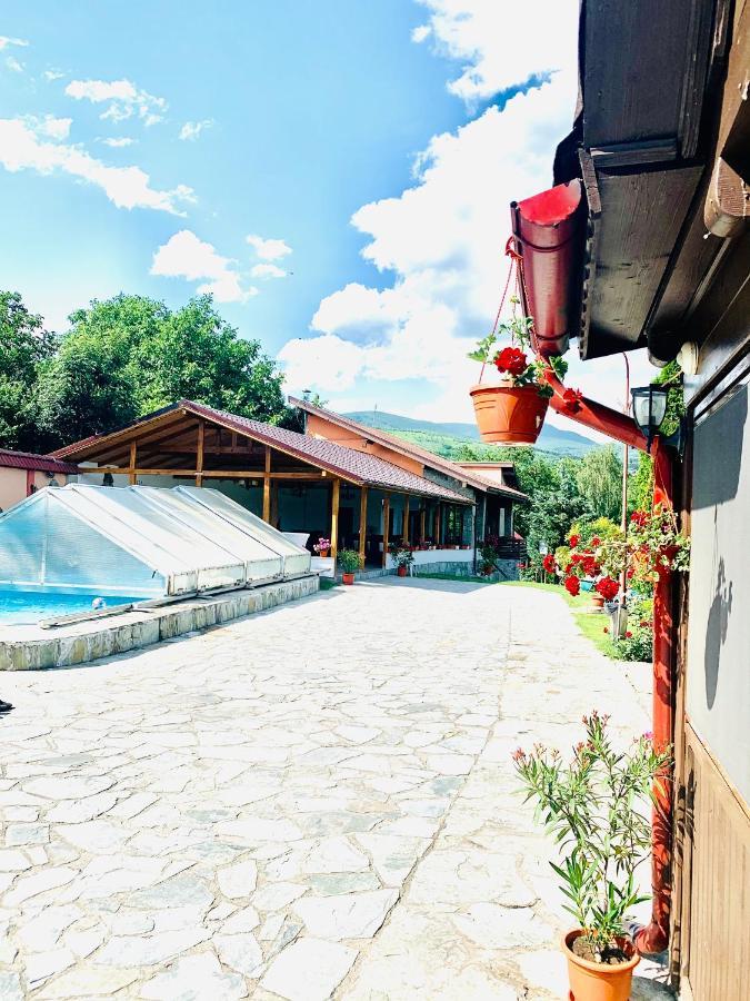 Alex & Maria Otel Cărpinişu Dış mekan fotoğraf