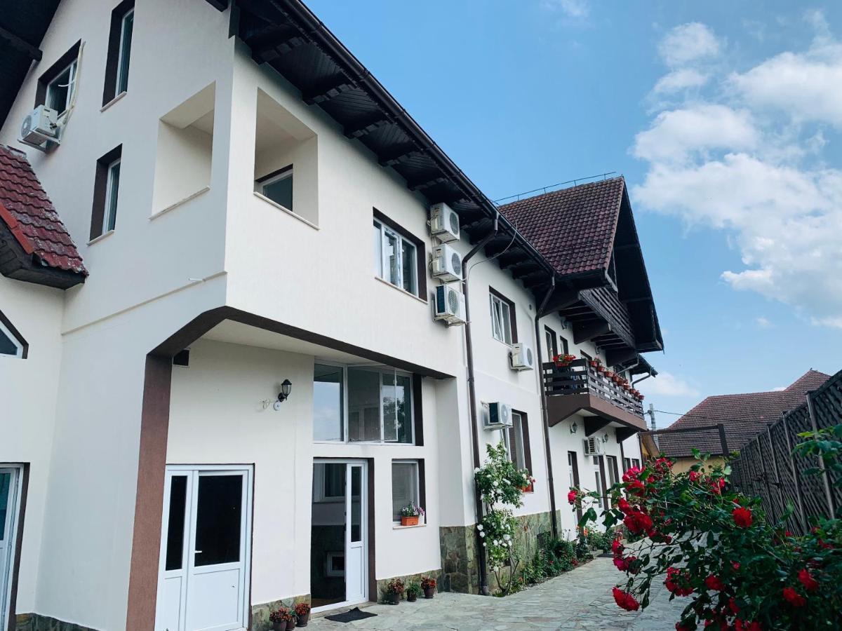 Alex & Maria Otel Cărpinişu Dış mekan fotoğraf