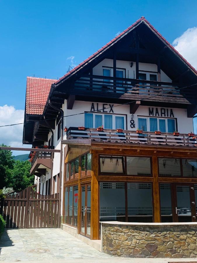 Alex & Maria Otel Cărpinişu Dış mekan fotoğraf