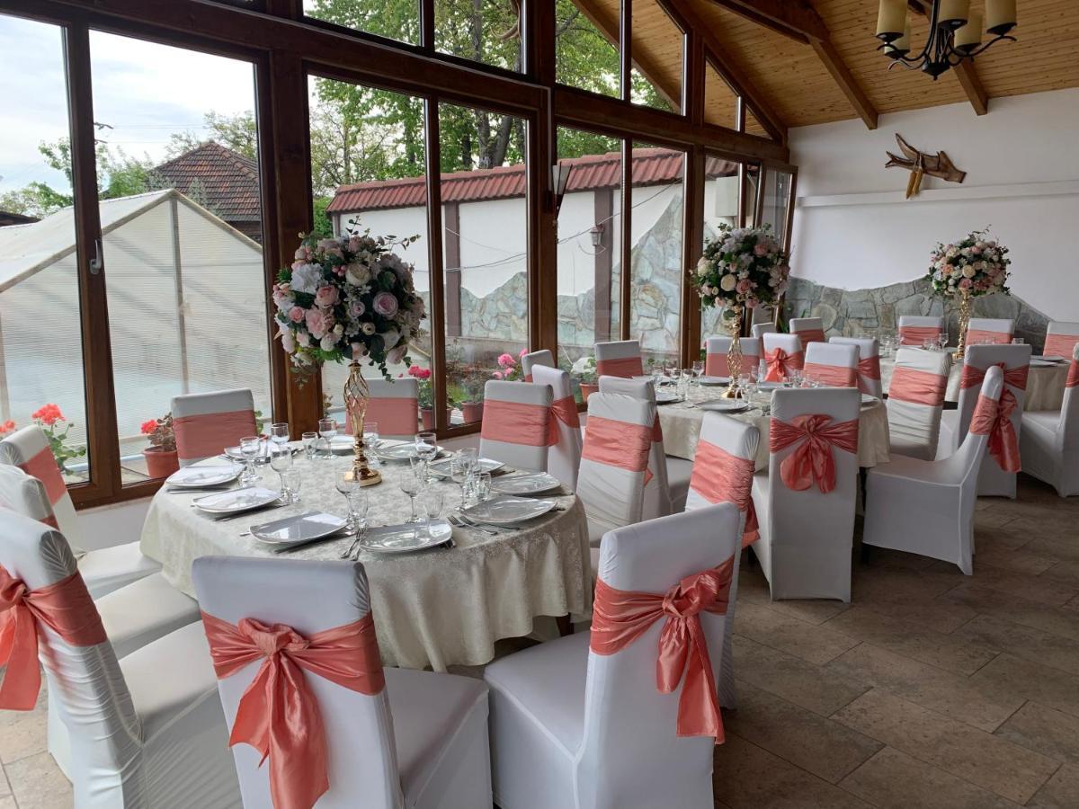 Alex & Maria Otel Cărpinişu Dış mekan fotoğraf